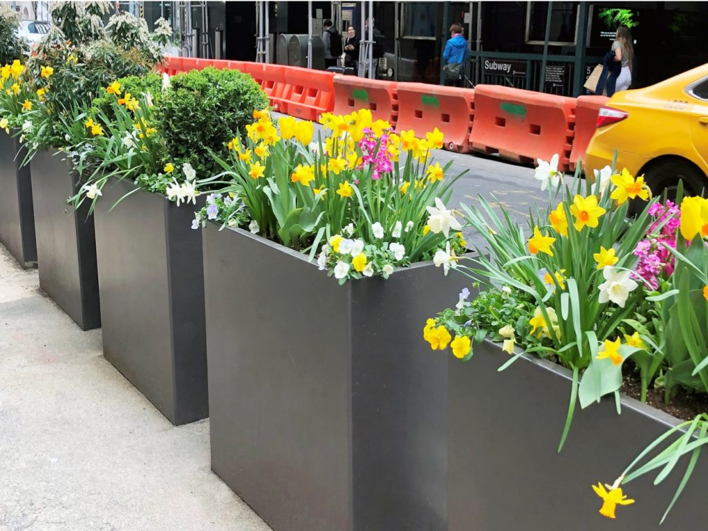 1500 series planters line 5th avenue in NYC